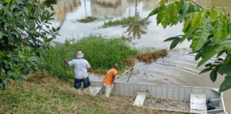 Prefeitura de Nova Venécia realiza limpeza às margens do Rio Cricaré