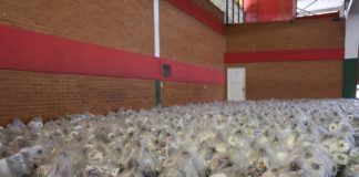 Nova Venécia realiza entrega de Cestas de Higiene e Limpeza a população carente