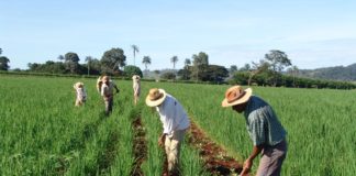 O Município de Nova Venécia é contemplado com mais um Assentamento Boa Fé