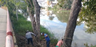 Prefeitura de Nova Venécia promoveu limpeza de córregos e rios