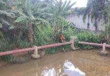 Secretaria de Serviços continua realizando limpeza no municipio