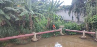 Secretaria de Serviços continua realizando limpeza no municipio