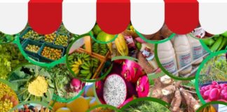 Nova Venécia vai sediar a I Feira de Produtos Agroecológicos Orgânicos