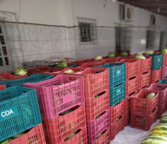 Prefeitura de Nova Venécia lança edital para seleção de agricultores familiares para o “Programa Compra Direta de Alimentos”