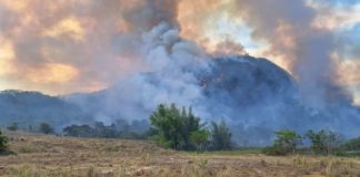 Combate às Queimadas em Terrenos Baldios é Intensificado com Novas Medidas