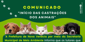 Secretaria de Meio Ambiente da inicio às castrações dos animais