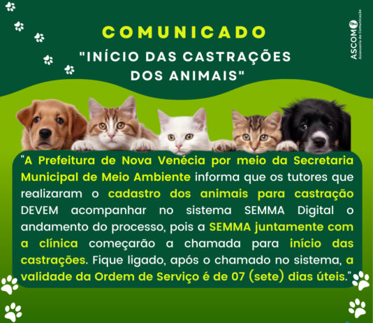 Secretaria de Meio Ambiente da inicio às castrações dos animais