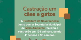 Nova Venécia divulga dados de castração animal através do Programa Pet Vida