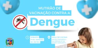 Nova Venécia recebe mutirão de vacinação contra dengue neste sábado