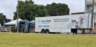 Ação de castração animal acontecerá em Nova Venécia