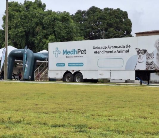 Ação de castração animal acontecerá em Nova Venécia