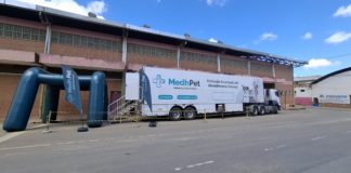 Nova Venécia avança no bem-estar animal com ação de castração em parceria com o Governo do Estado