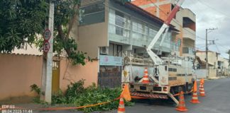 Prefeitura de Nova Venécia realiza ação de poda preventiva em parceria com a EDP