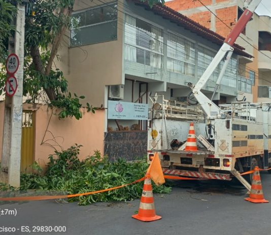 Prefeitura de Nova Venécia realiza ação de poda preventiva em parceria com a EDP
