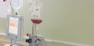 Veneciano doa medula óssea e recebe reconhecimento internacional