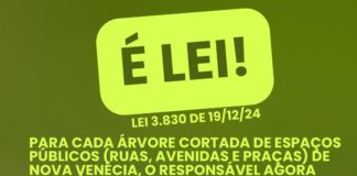 Nova Venécia já aplica lei que regulamenta corte e poda de árvores em áreas públicas