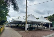 “Caravana Margaridas” acontece neste sábado em Nova Venécia