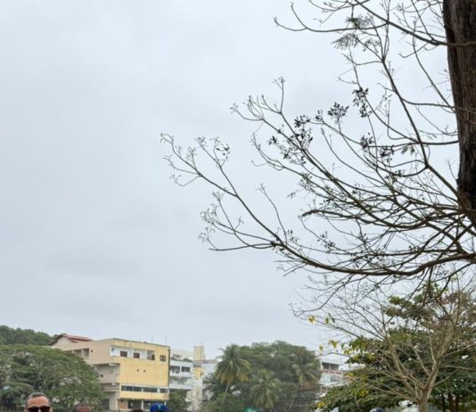 Prefeitura realiza 2º mutirão de limpeza do Rio Cricaré em Nova Venécia