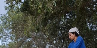 Prefeitura de Nova Venécia entrega 36 toneladas de milho com preço reduzido a produtores rurais