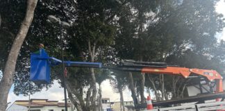 Secretaria de Obras e Meio Ambiente realiza poda de árvores na Praça Vila Olímpica