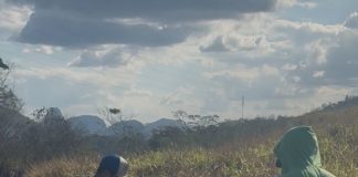 Secretaria de Obras retira 5 toneladas de lixo das laterais da Rodovia do Café