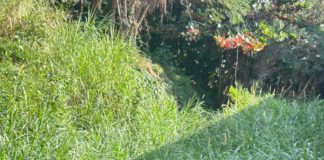 Prefeitura de Nova Venécia inicia limpeza do Córrego da Serra