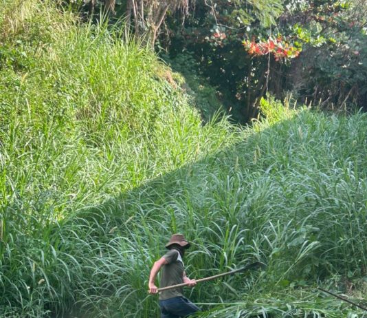 Prefeitura de Nova Venécia inicia limpeza do Córrego da Serra