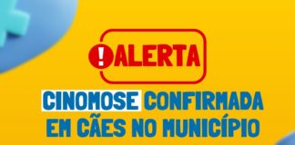 Secretaria de Meio Ambiente alerta para casos confirmados de Cinomose em cães no município