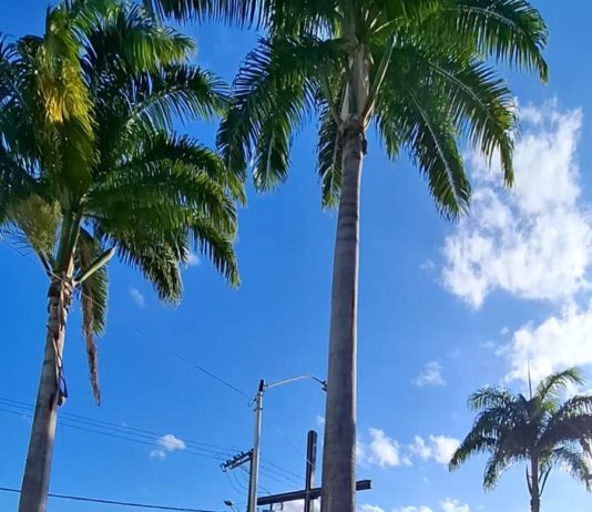 Prefeitura de Nova Venécia revitaliza praças em frente à Igreja Aparecida e na Rua Sergipe