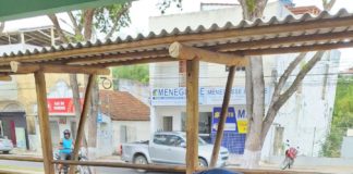 Nova Venécia supera metas na Campanha de Vacinação Antirrábica