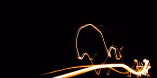 Nova Venécia recebe exposição fotográfica de Yanka Saturnino e Carlos Gaúcho entre os dias 6 e 9 de novembro