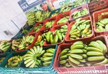 Primeira entrega de 2026: Nova Venécia distribui mais de 200 cestas verdes por meio do Programa PAA