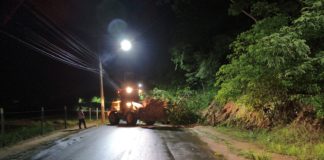 Defesa Civil e Secretaria de Obras removem árvore caída após fortes chuvas em Nova Venécia