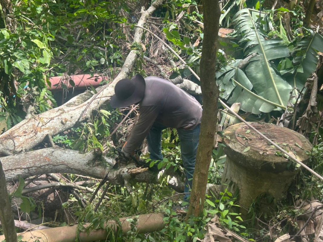 WhatsApp Image 2026-02-13 at 15.23.34 (1)