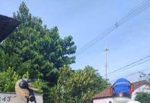 Mutirão contra a dengue elimina 156 focos no bairro Aeroporto em Nova Venécia