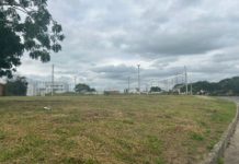 Prefeitura intensifica serviços de roçagem no bairro Flora Parque nesta semana e amplia ações para outros bairros de Nova Venécia