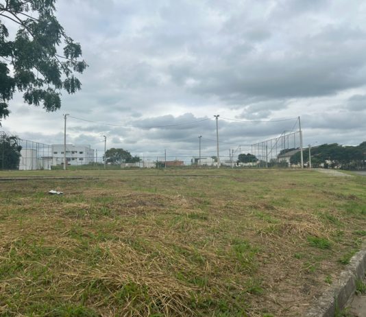 Prefeitura intensifica serviços de roçagem no bairro Flora Parque nesta semana e amplia ações para outros bairros de Nova Venécia