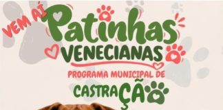 Prefeitura de Nova Venécia lança Programa Patinhas Venecianas para castração de cães e gatos