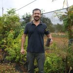 Egisto Gava recebeu uma muda de Chorão para plantar na calçada