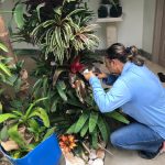 Agentes de endemias (1)
