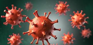 Coronavírus: 13 casos positivos nesta quarta-feira em Nova Venécia