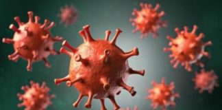 Coronavírus: Um óbito e 17 casos confirmados nesta sexta-feira (15) em Nova Venécia