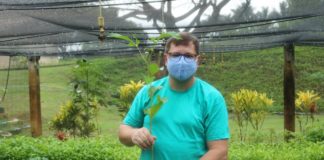 Viveiro de Nova Venécia tem estoque de  25 mil mudas