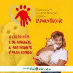 Vigilância Epidemiológica inicia atendimento a casos de Esporotricose em felinos