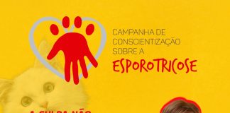 Vigilância Epidemiológica inicia atendimento a casos de Esporotricose em felinos