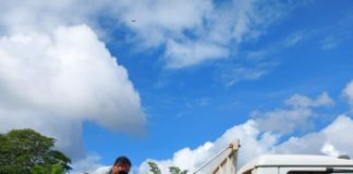 Produtores de Nova Venécia recebem 31 mil mudas de eucalipto