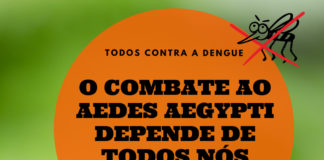 Prefeitura alerta sobre cuidados contra o mosquito Aedes Aegypti