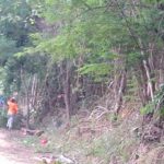 WhatsApp-Image-2021-04-20-at-15.29.41-2