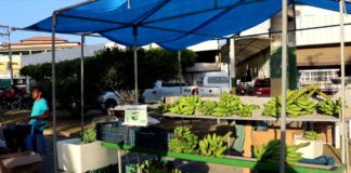 Feiras municipais acontecem nesta quinta e sexta feira em Nova Venécia