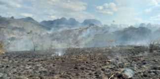 Prefeitura de Nova Venécia alerta sobre os riscos de queimadas